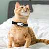 Portable pet camera